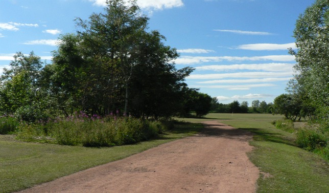 A path through open parkland, lined with trees and wildflowers